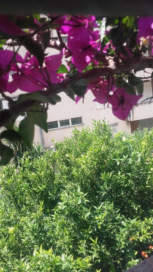 Centar Guest House Makarska Dış mekan fotoğraf
